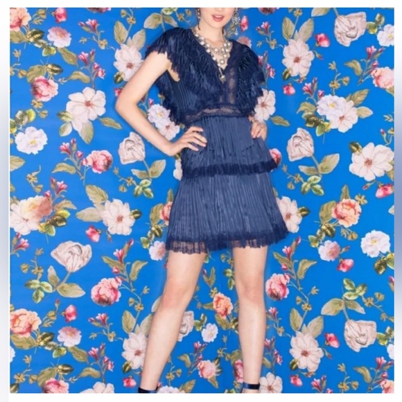 Alice and Olivia - Lanora Pleated Tiered Blue Dress size 2 - Picture 2 of 14